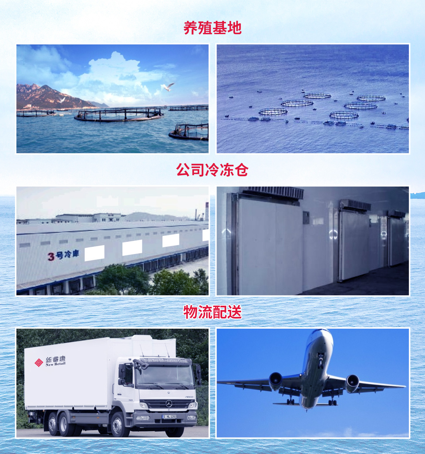 走进新睿唐.jpg